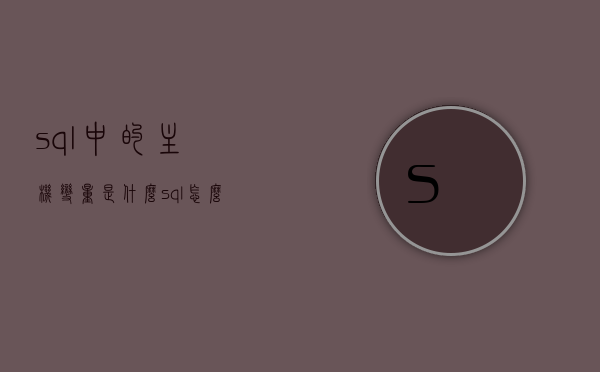 sql中的主机变量是什么（sql怎么定义主码），SQL中的主机变量与主码定义解析