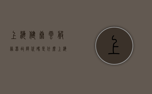 上海健康云服务器故障代码是什么（上海健康云app网络连接异常），上海健康云服务器故障代码及APP网络连接异常解析，上海健康云服务器故障代码及APP网络连接异常解析与解析报告，上海健康云服务器故障代码及APP网络连接异常解析报告，解析与解决方案探讨，上海健康云服务器故障代码及APP网络连接异常解析与解决方案探讨，上海健康云服务器故障代码及APP网络连接异常解析与解决方案探讨，上海健康云服务器故障代码及APP网络连接异常解析与解决方案探讨