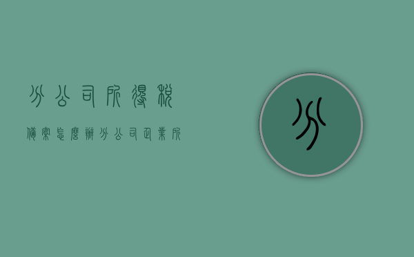 分公司所得税备案怎么办（分公司企业所得税申报表怎么填），分公司税务处理指南，所得税备案流程及企业所得税申报表填写要点，分公司税务处理指南，所得税备案流程与申报表填写要点解析，分公司税务处理指南，所得税备案流程与申报表填写解析及税务处理要点，分公司税务处理指南，所得税备案流程与申报表填写解析及税务处理要点详解，分公司税务处理指南，所得税备案流程与申报表填写详解及税务处理要点解析，分公司税务处理指南，所得税备案流程与申报表填写详解及税务处理要点解析