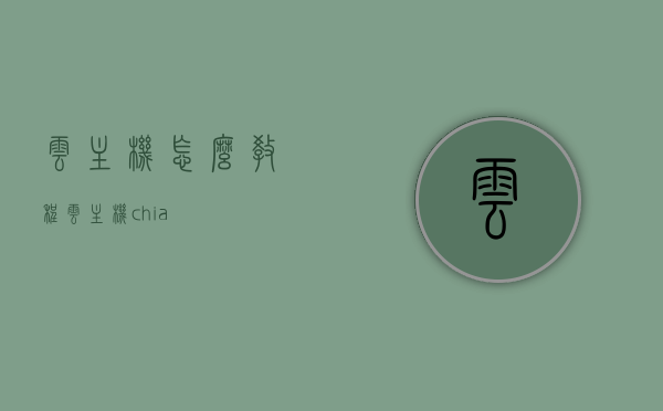 云主机怎么教程（云主机 chia），云主机教程，如何操作Chia云主机