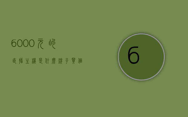 6000元的直播主机是什么牌子（买个能直播的主机要多少钱），揭秘，6000元直播主机品牌及价格解析，揭秘，6000元直播主机品牌与价格全面解析，揭秘，6000元直播主机品牌及价格全面解析与购买指南