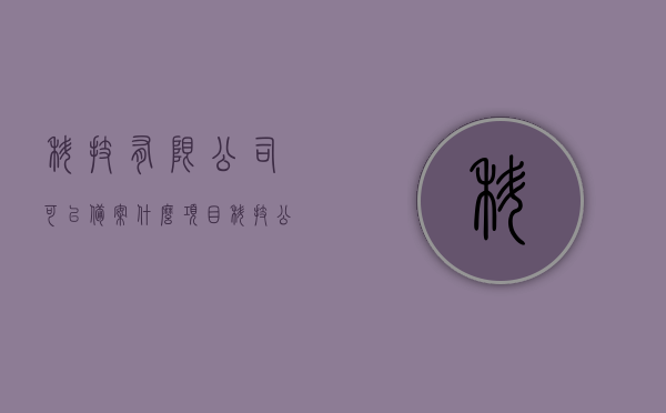 科技有限公司可以备案什么项目（科技公司都需要什么资质和认证），科技公司备案项目详解，所需资质与认证一览