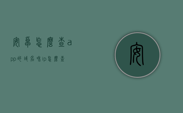 安卓怎么查app的域名和ip（怎么查看安卓app位置），安卓APP域名与IP查询方法，如何查看安卓应用位置，安卓APP域名与IP查询方法，如何查看安卓应用的位置和域名信息