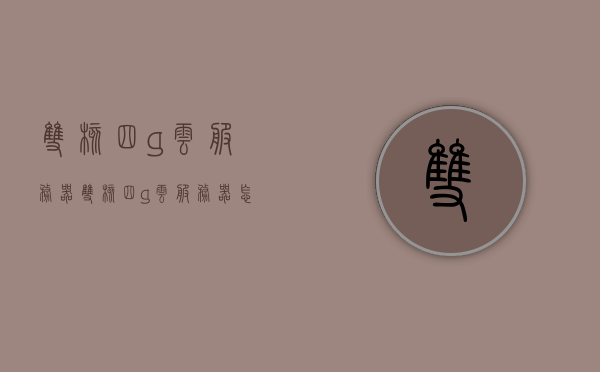 双核四g云服务器（双核四g云服务器怎么用），双核四G云服务器使用指南，从入门到精通！