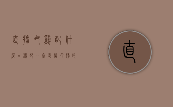直播吃鸡配什么主机（配一台直播吃鸡的电脑），直播吃鸡电脑配置指南，打造专属游戏主机！