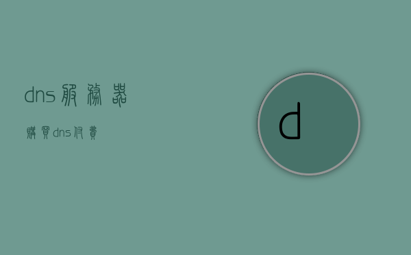 dns服务器购买（dns付费），DNS服务器购买指南，全面解析DNS付费服务