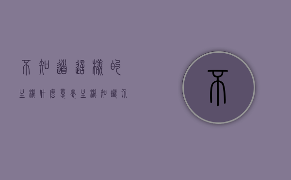 不知道这样的主机什么意思（主机知识介绍），关于主机知识的介绍与解析，理解主机含义的入门指南，理解主机含义的入门指南，主机知识介绍与解析，理解主机含义，入门指南与知识解析，理解主机含义，入门指南与知识解析全解析
