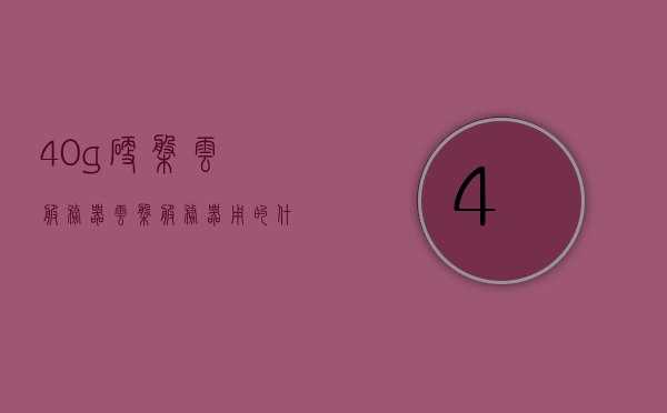 40g硬盘云服务器（云盘服务器用的什么硬盘），40G硬盘云服务器解析，云盘服务器硬盘类型探究，关于云服务器硬盘类型，解析云盘服务器使用的硬盘类型与40G硬盘云服务器解析