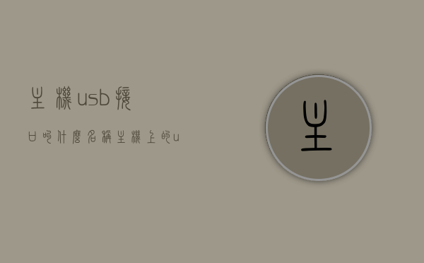 主机usb接口叫什么名称（主机上的usb接口有什么区别），主机USB接口的名称及区别简介，主机USB接口的名称、种类与区别简介，主机USB接口的名称、种类与区别详解，名称解析及功能差异简介，主机USB接口的名称、种类与功能差异详解，名称解析及区别简介，主机USB接口的名称、种类与功能差异详解，全面解析名称及区别简介