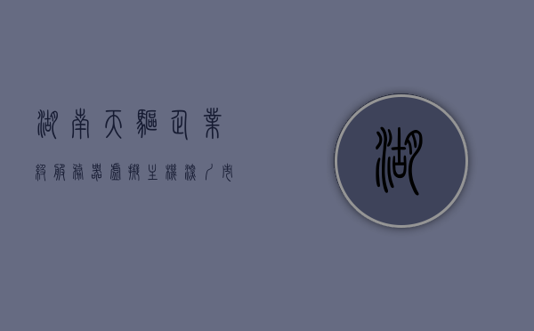 湖南天驱企业级服务器虚拟主机（深圳市天驱电子有限公司），湖南天驱企业级服务器虚拟主机概览（深圳市天驱电子有限公司），湖南天驱企业级服务器虚拟主机深度解析，深圳市天驱电子有限公司产品概览，深圳市天驱电子有限公司，湖南天驱企业级服务器虚拟主机深度解析与概览
