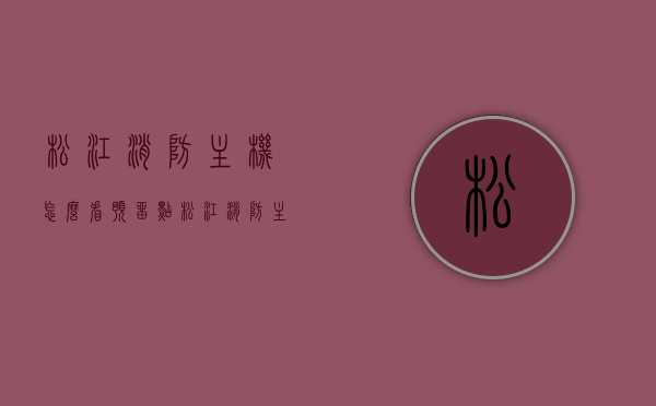 松江消防主机怎么看预留点（松江消防主机怎么屏蔽故障），松江消防主机操作指南，如何查看预留点及屏蔽故障方法，松江消防主机操作指南，查看预留点与屏蔽故障方法