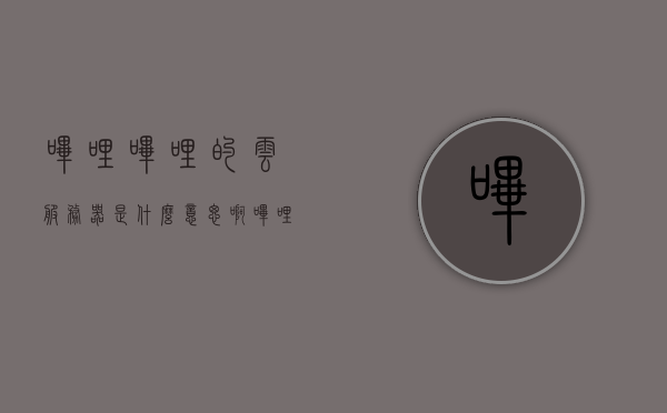 哔哩哔哩的云服务器是什么意思啊（哔哩哔哩的云服务器是什么意思啊），哔哩哔哩云服务器解析，概念与功能介绍