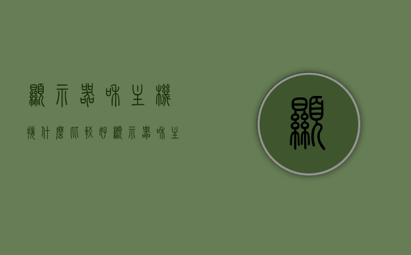 显示器和主机接什么比较好（显示器和主机接什么比较好呢），显示器与主机的最佳连接方式探讨，选择哪种接口更合适？，探讨显示器与主机的最佳连接方式，选择哪种接口更合适？