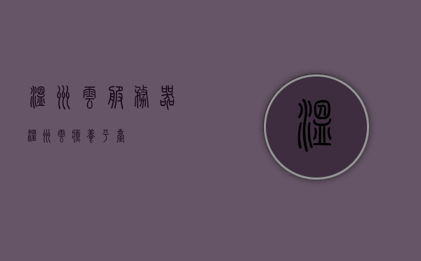 温州云服务器（温州云疗养平台），温州云服务器，疗养云平台的数字化未来，温州云服务器（疗养云平台）引领数字化未来，温州云服务器（疗养云平台）引领数字化未来革新风潮
