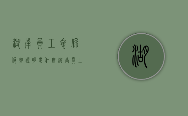 湖南员工参保备案证明是什么（湖南员工参保备案证明是什么东西），湖南员工参保备案证明详解，定义、内容与作用