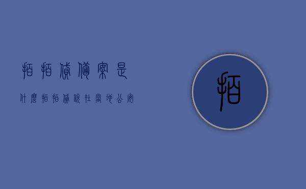 拍拍贷备案是什么（拍拍贷说在当地公安局备案），拍拍贷备案详解，什么是拍拍贷备案及其在公安局的备案流程，拍拍贷备案详解，概念、流程及在公安局的备案事项