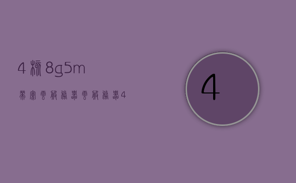4核8g5m带宽云服务器（云服务器4核8g内存），云服务器强大配置，4核8G内存，5M带宽助力你的业务飞跃