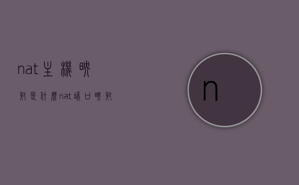 nat主机映射是什么（nat端口映射），NAT主机映射及端口映射解析
