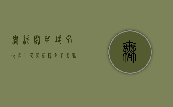 无线网络域名改成什么网速稳定了呢（修改wifi域名网速会变快），无线网络域名优化，哪些更改可提高网速稳定性？