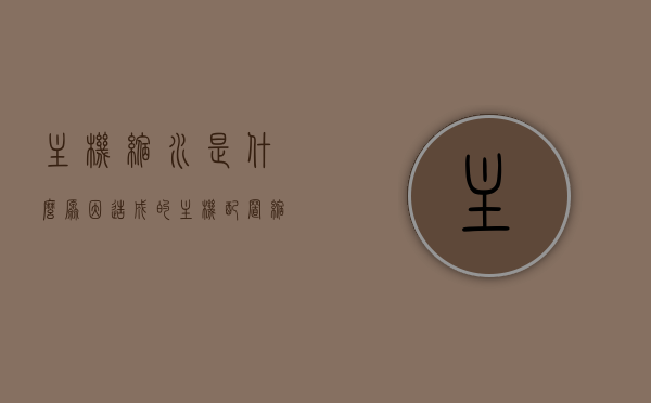 主机缩水是什么原因造成的（主机配置缩水什么意思），主机配置缩水的原因及影响分析，主机配置缩水原因及其影响深度解析，主机配置缩水的原因及其深度影响解析，缩水原因与影响分析全解析