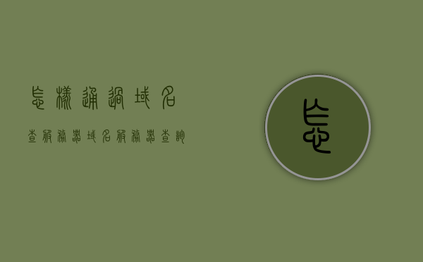 怎样通过域名查服务器（域名服务器查询的两种方式），如何通过域名查询服务器，两种域名服务器查询方式详解