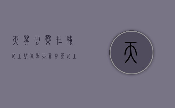 天翼云盘在线人工服务器（天翼云盘人工客服），天翼云盘在线人工服务器服务详解，专业客服支持，便捷云服务体验