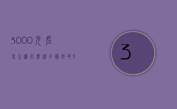 3000元左右主机什么牌子最好的（3000元左右主机什么牌子最好的显卡），3000元预算内最佳主机品牌及显卡推荐，3000元预算内最佳主机品牌及显卡推荐，哪个牌子主机最优秀？，3000元预算内主机品牌及显卡推荐，哪个牌子主机最优秀？，3000元预算内最佳主机品牌及显卡推荐，哪个牌子主机最优秀？