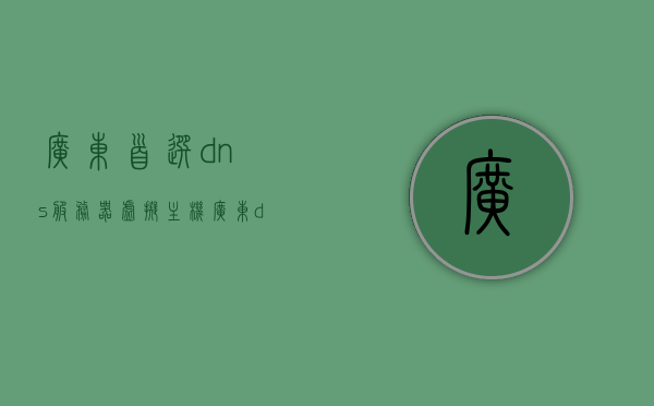 广东首选dns服务器虚拟主机（广东dns首选地址是多少）