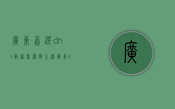 广东首选dns服务器虚拟主机（广东dns首选地址是多少），广东DNS首选服务器虚拟主机地址解析及DNS首选地址介绍，广东DNS首选服务器虚拟主机详解，解析与地址介绍
