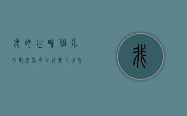 我的世界租小型服务器多少钱（我的世界租服务器有什么好处），我的世界，租用小型服务器的好处与费用概览