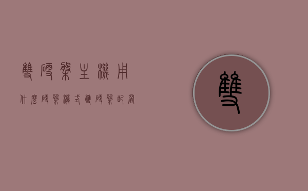 双硬盘主机用什么硬盘模式（双硬盘配置），双硬盘主机硬盘模式配置指南，双硬盘主机硬盘模式配置指南，选择与配置最佳硬盘模式