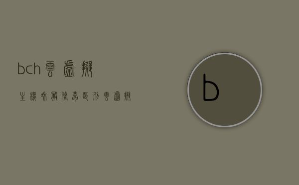bch云虚拟主机和服务器区别（云虚拟主机和vps），BCH云虚拟主机与VPS服务器的差异解析