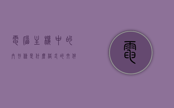 电脑主机中的内存条是什么格式的文件（主机里的内存条），电脑主机内存条的文件格式及作用解析