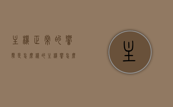 主机正常的响声是怎么样的（主机响怎么办），主机声音解析，正常响声与异常应对方法