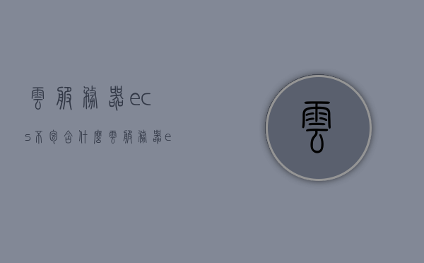云服务器ecs不包含什么（云服务器ecs不包含什么功能），云服务器ECS功能解析，哪些功能不包含在内，解析云服务器ECS功能，不包含哪些特性？