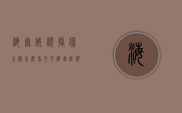 海康威视摄像主机怎么看内存（海康威视怎么查看摄像头参数），海康威视摄像主机内存查看及摄像头参数获取指南，海康威视摄像主机内存查看与摄像头参数获取教程
