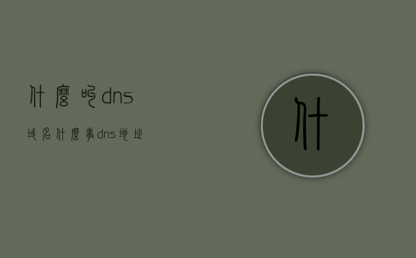 什么叫dns域名（什么事dns地址），DNS域名与地址解析，DNS域名（DNS地址）解析详解