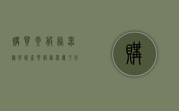 购买云服务器无形资产（云服务器属于什么资产），云服务器购买与无形资产概述，云服务器属于何种资产类别？