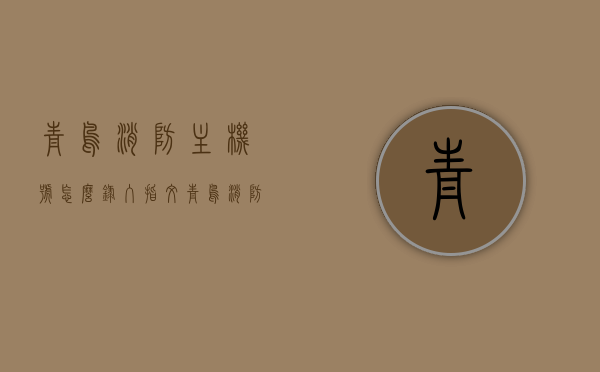 青鸟消防主机号怎么录入指纹（青鸟消防主机怎么联动），青鸟消防主机指纹录入及联动操作指南，青鸟消防主机指纹录入与联动操作指南，详细步骤解析，青鸟消防主机指纹录入及联动操作指南，详细步骤解析与操作指南，青鸟消防主机指纹录入与联动操作详解，步骤解析及指南，青鸟消防主机指纹录入与联动操作详解，步骤解析及指南，青鸟消防主机指纹录入与联动操作详解，步骤解析及指南