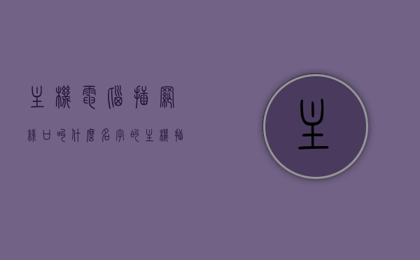 主机电脑插网线口叫什么名字的（主机插网线的地方在哪），主机电脑插网线口名称及位置指南