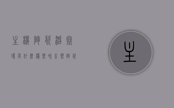 主机陶瓷活塞环有什么优势和劣势（陶瓷活塞环材料），主机陶瓷活塞环材料，优势与劣势分析，主机陶瓷活塞环材料，优势与劣势全面解析