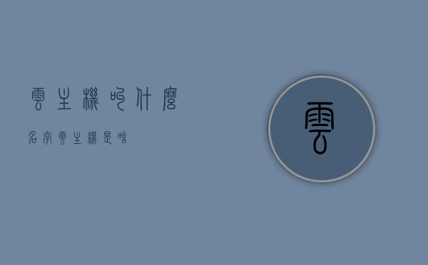 云主机叫什么名字（云主机是啥），云主机的名字及其概念解析