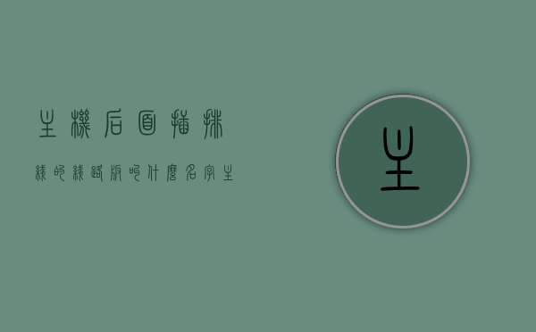 主机后面插排线的线路板叫什么名字（主机背后插线），主机背后插排线的线路板名称解析，主机背后插线详解，主机背后插线详解，线路板名称及排线插排解析，主机背后插线详解，线路板名称与排线插排解析，主机背后插线详解，线路板名称及排线插排解析，主机背后插线详解，线路板名称与排线插排全面解析，主机背后插线详解，线路板名称及排线插排全面解析