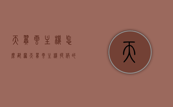 天翼云主机怎么部署（天翼云主机提供的主要功能），天翼云主机部署指南及主要功能解析