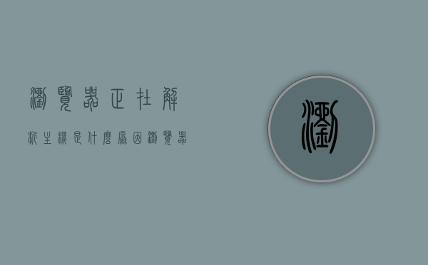 浏览器正在解析主机是什么原因（浏览器提示），浏览器解析主机原因解析及提示含义探讨，浏览器解析主机原因解析与提示含义探讨，解析主机时出现的提示及其原因解析，浏览器解析主机提示原因解析与探讨，解析主机时出现的提示及其原因详解，浏览器解析主机提示原因详解与探讨，解析主机时出现的提示及其原因解析