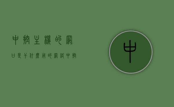 中控主机的网口是干什么用的（网络中控主机是什么），中控主机网口用途及网络中控主机概述