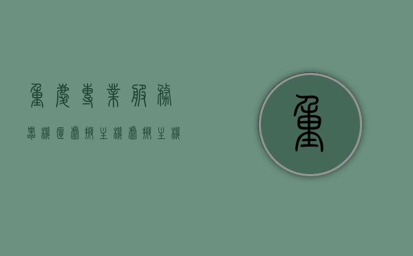 重庆专业服务器机柜虚拟主机（虚拟主机服务器租用），重庆专业服务器机柜与虚拟主机服务（虚拟主机租用），重庆专业服务器机柜与虚拟主机服务详解，虚拟主机租用及专业服务解析