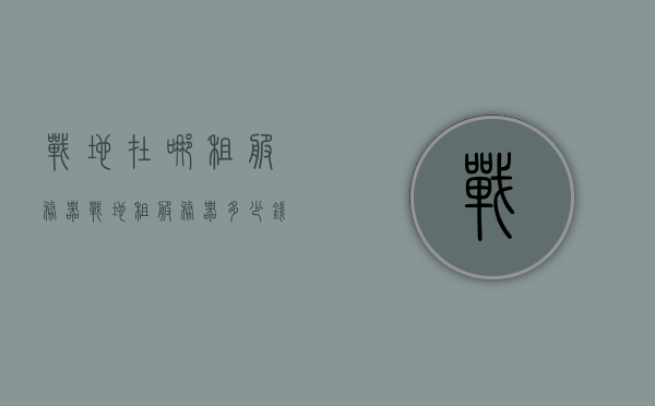 战地在哪租服务器（战地租服务器多少钱），战地系列游戏租服务器指南，费用及地点全解析，战地系列游戏服务器租赁指南，费用、地点全解析及战地租服务器价格揭秘，战地系列游戏服务器租赁全解析，费用、地点指南及租服价格揭秘，战地系列游戏服务器租赁全攻略，费用、地点指南及租服价格揭秘，战地系列游戏服务器租赁全攻略，费用、地点与价格揭秘，战地系列游戏服务器租赁全攻略，费用、地点与价格揭秘，战地系列游戏服务器租赁全攻略，费用、地点与价格揭秘，战地系列游戏服务器租赁全攻略，费用、地点与价格揭秘