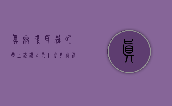 真无线耳机的双主机模式是什么（真无线耳机双设备），真无线耳机的双主机模式详解，什么是双设备功能？，真无线耳机的双主机模式与双设备功能详解，概念及应用解析