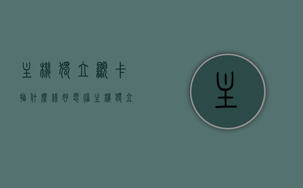 主机独立显卡插什么线好（电脑主机独立显卡接线），电脑主机独立显卡接线指南，如何选择最佳接线方式？，电脑主机独立显卡接线指南，如何选择最佳接线方式与线路选择建议，电脑主机独立显卡接线指南，最佳接线方式与线路选择建议